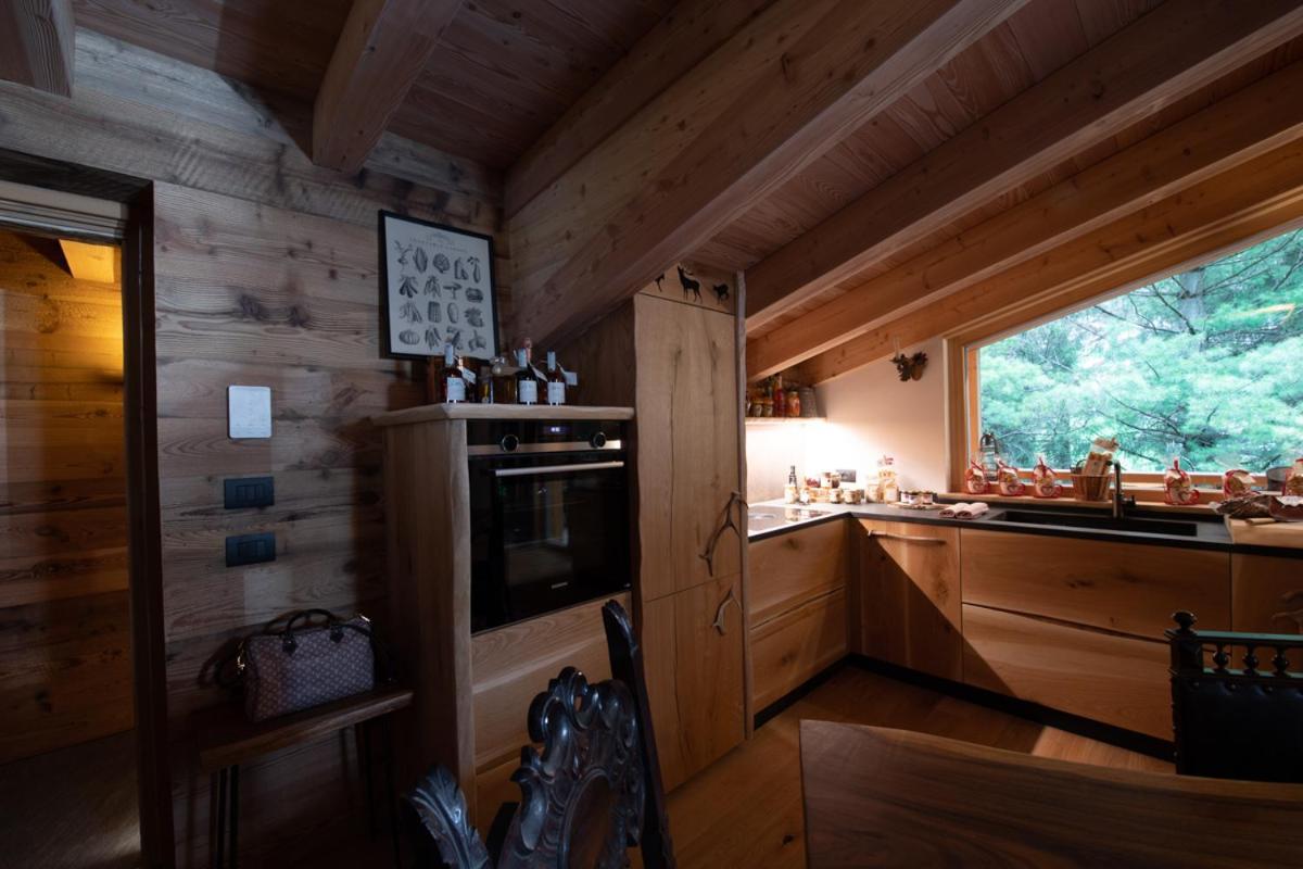 Chalet Degli Abeti By Ama Val Di Fassa カンピテッロ・ディ・ファッサ エクステリア 写真